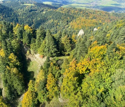 IMG-20211001-WA0038