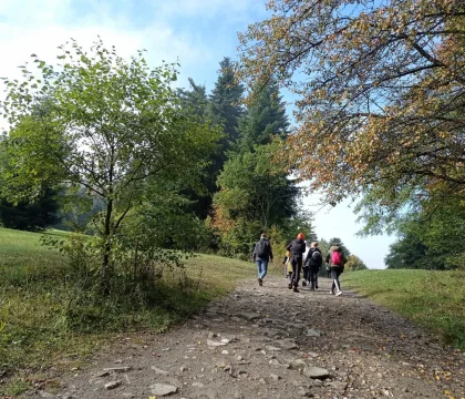 IMG_20211001_101609