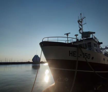 40