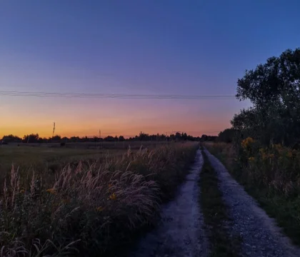 54