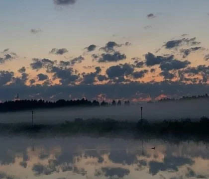 74