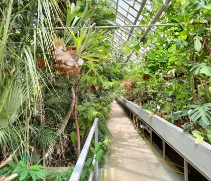 IMG20220510124204