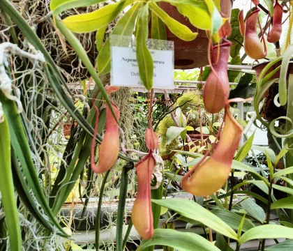 IMG20220510124338