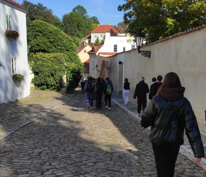 IMG_20220929_105307