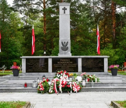 zdjecie-artykul-27539-047