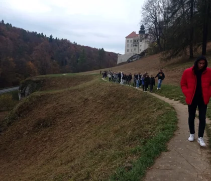 81