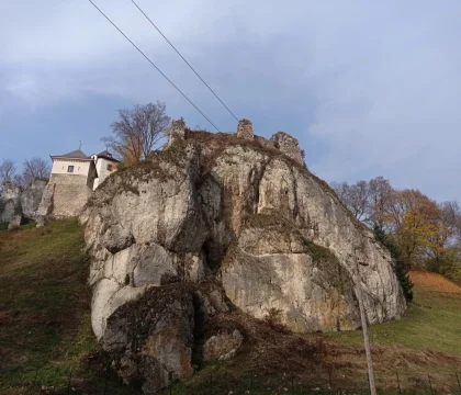 91