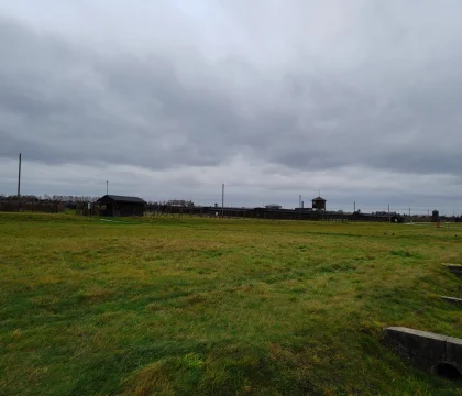 IMG20221117112446