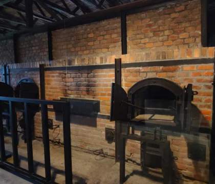 IMG20221117115317