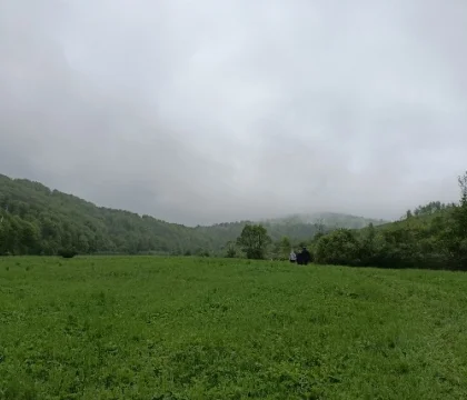 1000004584
