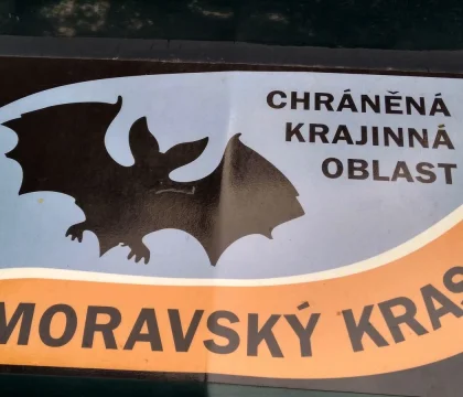 91