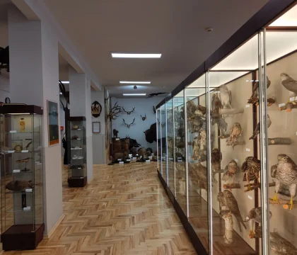 IMG20230928122812