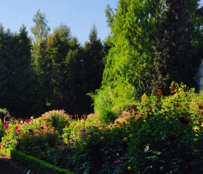 IMG20230928140909