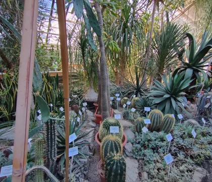 IMG20230928142018