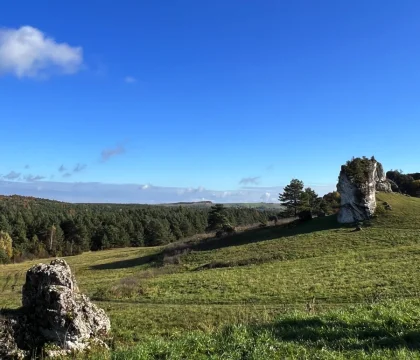 351