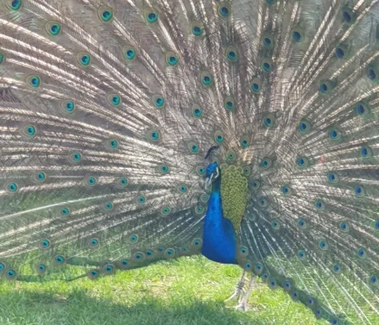 149