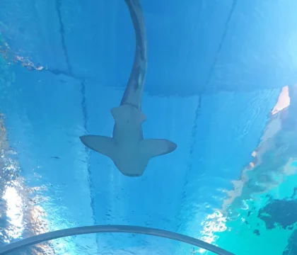 689