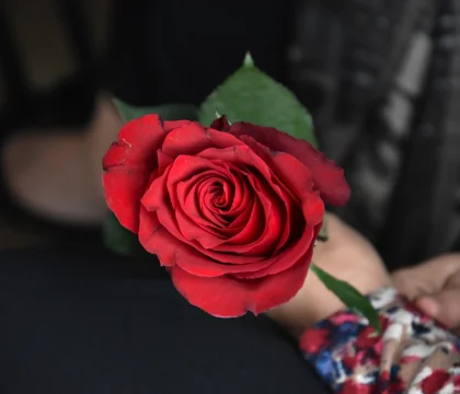 DSC_0250