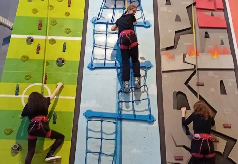 43