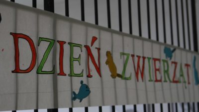 7 października 2016 – Światowy Dzień Zwierząt i Dzień św. Franciszka w naszej szkole