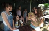 6 czerwca 2018 – „ONZ pomaga zwierzętom” na „Animal Party”